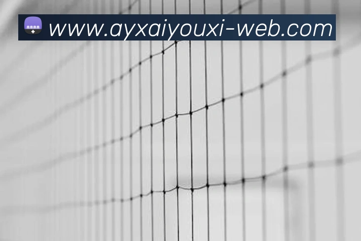 ai游戏官网 | 专注高品质竞技项目、玩法技巧与新游报道发展历程